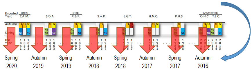 HSL Compressed to 7 Seasons