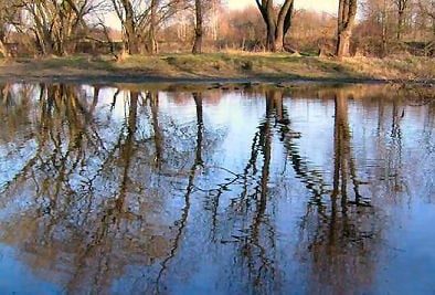 Spiegelung im Fluss