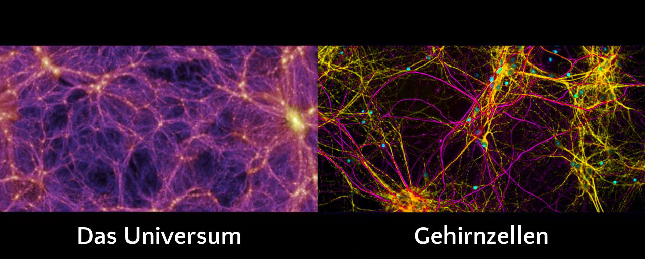 Vergleich der Struktur des Universums mit der des menschlichen Gehirns