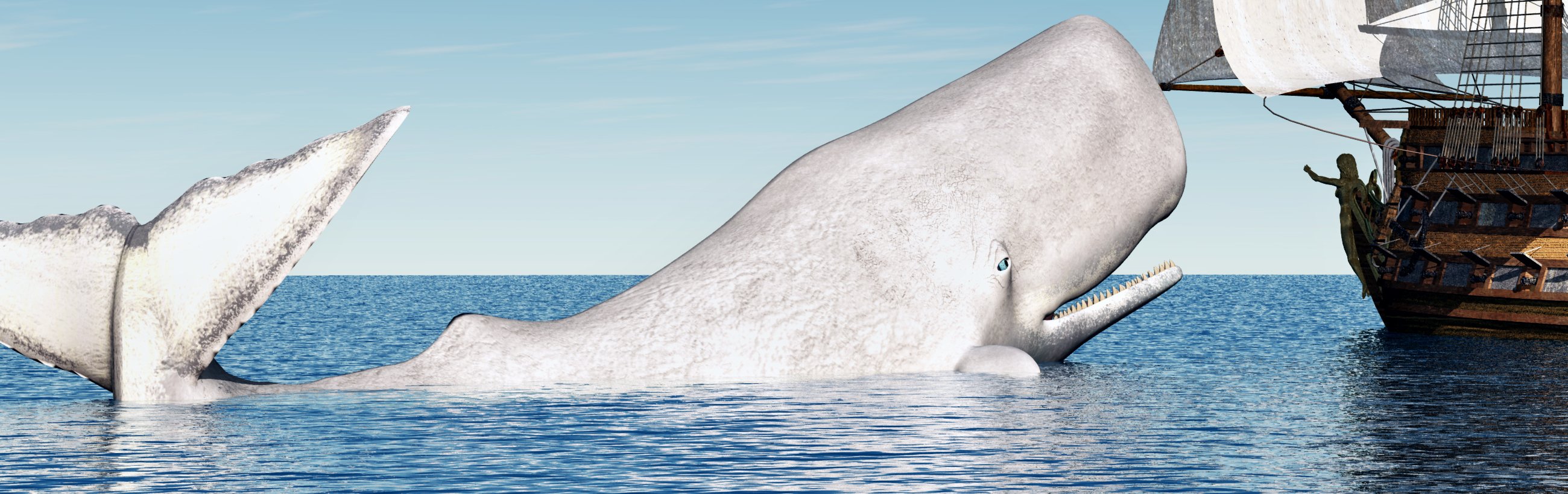 Der weiße Wal, der diejenigen rettet, die das Schiff verlassen
