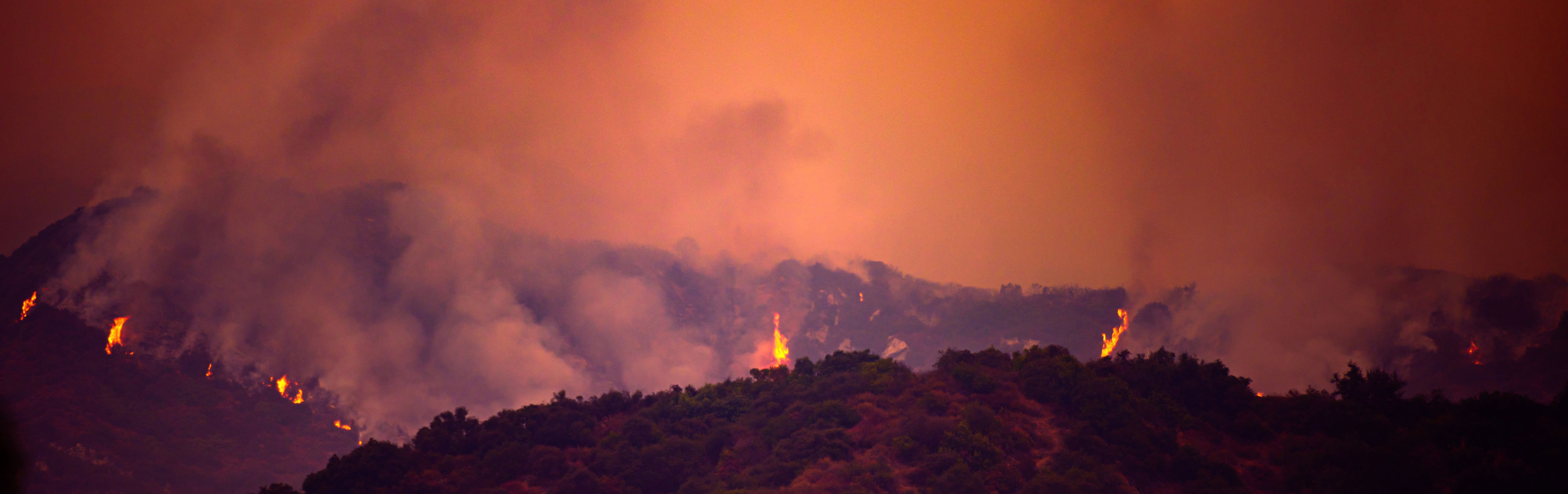 Der Rauch ihres Brandes